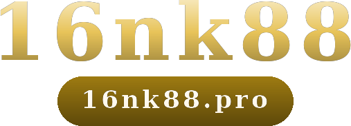 16nk88 logo